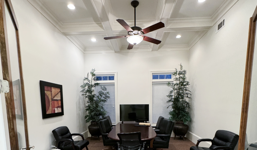 Small conference room with a brown table, black chairs, a ceiling fan, and two plants. The space features interior painting in soothing tones complemented by abstract art.
